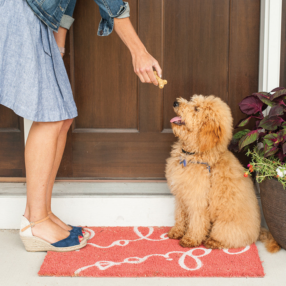 Puppy Love Pan & Dog Treat Mix