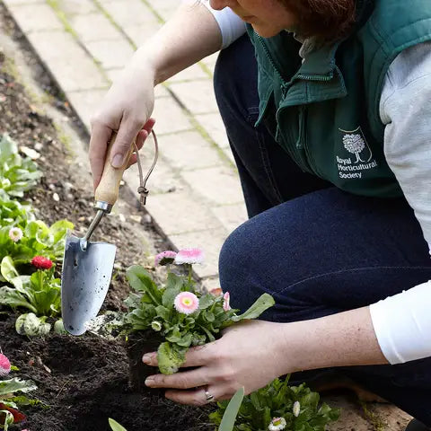 RHS Stainless Hand Trowel