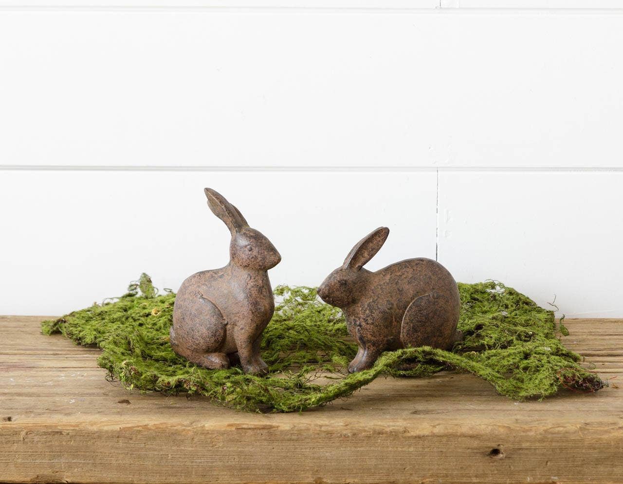 Small Brown Bunnies